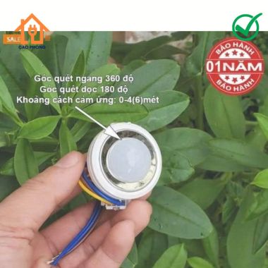 Mắt cảm ứng cảm biến chuyển động hồng ngoại Ata AT530