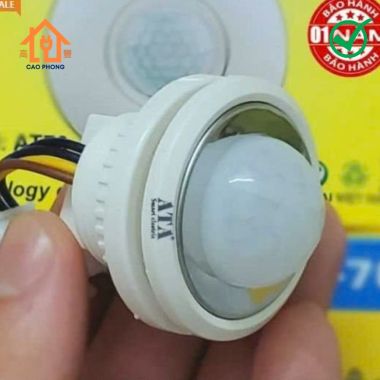 Mắt cảm ứng cảm biến chuyển động hồng ngoại Ata AT530