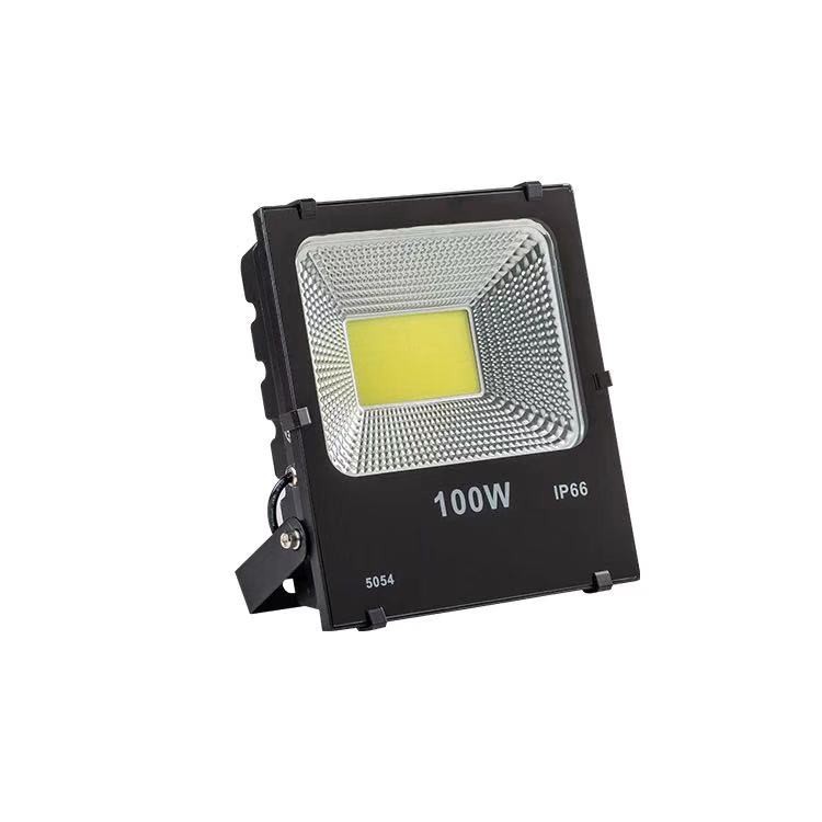 Đèn Pha Led COB DS 100W ( IP66 - 5054 )